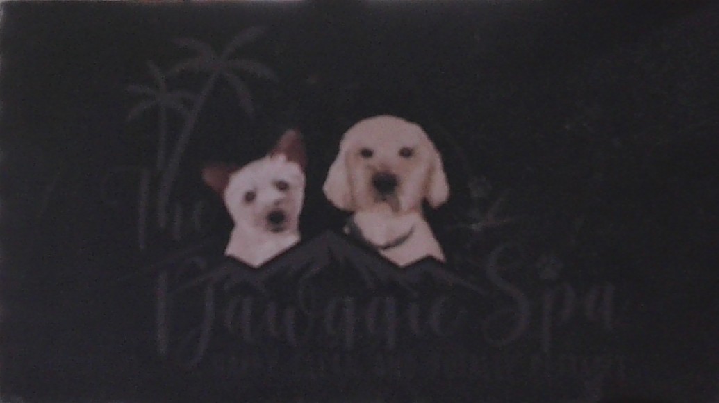 Dawggie Spa Logo